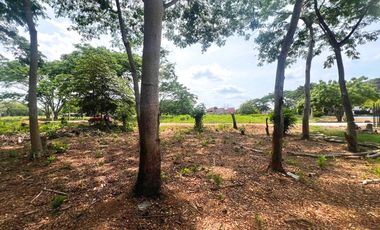 LOTES EN VENTA, SECTOR PALMA VERDE MONTERIA.