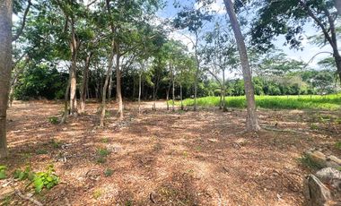 LOTES EN VENTA, SECTOR PALMA VERDE MONTERIA.