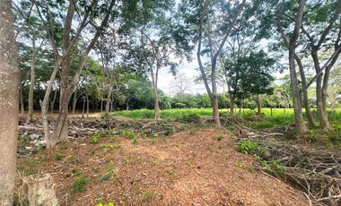 LOTES EN VENTA, SECTOR PALMA VERDE MONTERIA.