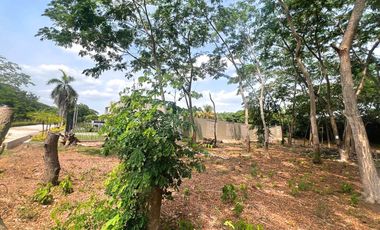 LOTES EN VENTA, SECTOR PALMA VERDE MONTERIA.
