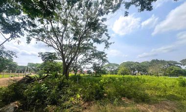 LOTES EN VENTA, SECTOR PALMA VERDE MONTERIA.