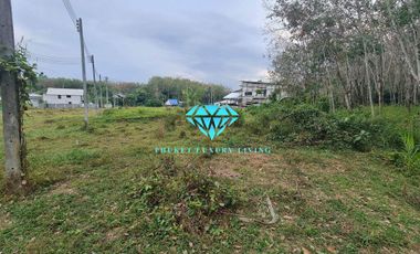 Land for sale in Bang Rong, Paklok, Phuket.