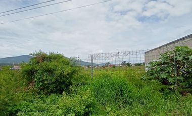TERRENO EN RENTA EN EL CRUCERO A COINTZIO