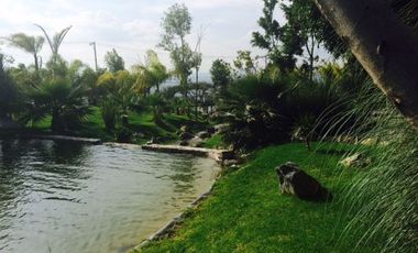 FRACC.VISTA REAL. Vive en contacto con la Naturaleza.   Aire puro, lagos, bosquecillos, 4 grados más fresco que abajo en QRO.,  Club social y deportivo muy completo, Seguridad 24/7.