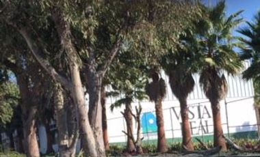 FRACC.VISTA REAL. Vive en contacto con la Naturaleza.   Aire puro, lagos, bosquecillos, 4 grados más fresco que abajo en QRO.,  Club social y deportivo muy completo, Seguridad 24/7.