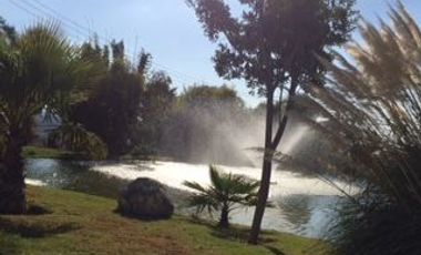 FRACC.VISTA REAL. Vive en contacto con la Naturaleza.   Aire puro, lagos, bosquecillos, 4 grados más fresco que abajo en QRO.,  Club social y deportivo muy completo, Seguridad 24/7.