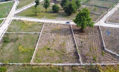 Land in Mae On for Sale Nice lot with mountain view