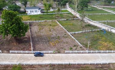 Land in Mae On for Sale Nice lot with mountain view