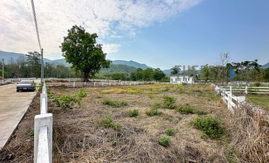Land in Mae On for Sale Nice lot with mountain view