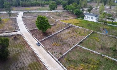 Land in Mae On for Sale Nice lot with mountain view