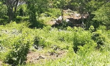 LOTE EN LA ROPA, FRACCIONAMIENTO LAS PALMAS III, ZIHUATANEJO