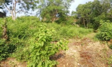 LOTE EN LA ROPA, FRACCIONAMIENTO LAS PALMAS III, ZIHUATANEJO