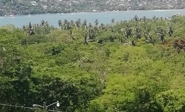 LOTE EN LA ROPA, FRACCIONAMIENTO LAS PALMAS III, ZIHUATANEJO
