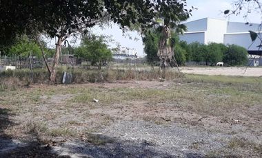 TERRENO EN RENTA EN APODACA, NUEVO LEON, ZONA CONCORDIA, FRENTE A PLAZA LORETA