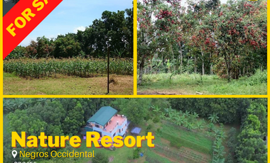 For Sale Nature Resort in Negros Occidental