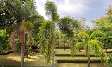 A family home for rent or sale in Wararom Project, Doi Saket, Chiang Mai