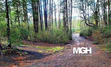 Venta de Parcela en Parque Volcanes, Ensenada, Puerto Varas