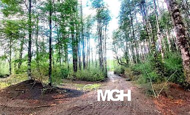 Venta de Parcela en Parque Volcanes, Ensenada, Puerto Varas