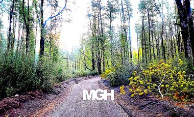 Venta de Parcela en Parque Volcanes, Ensenada, Puerto Varas