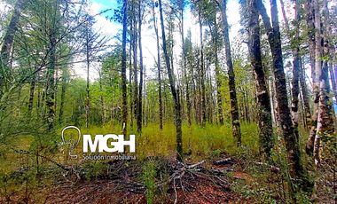 Venta de Parcela en Parque Volcanes, Ensenada, Puerto Varas