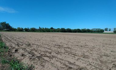 VENTA Hectarea o media fraccion en VILLA ESQUIU