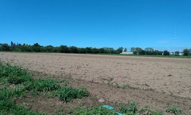 VENTA Hectarea o media fraccion en VILLA ESQUIU