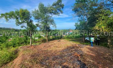 RESIDENTIAL LOT WITH FANTASTIC OVERLOOKING VIEW
