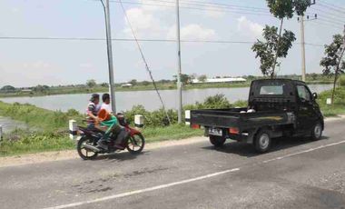 Tambak 80.495 m² di Golokan Sidayu Gresik