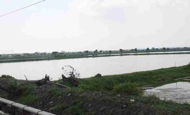 Tambak 80.495 m² di Golokan Sidayu Gresik
