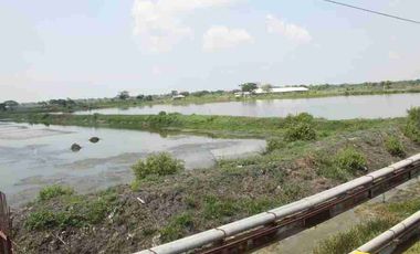Tambak 80.495 m² di Golokan Sidayu Gresik