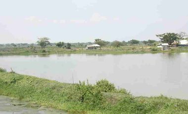 Tambak 80.495 m² di Golokan Sidayu Gresik