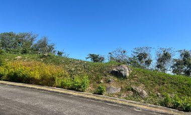 FOR SALE: AYALA GREENFIELD ESTATES LOT WITH BEAUTIFUL VIEW