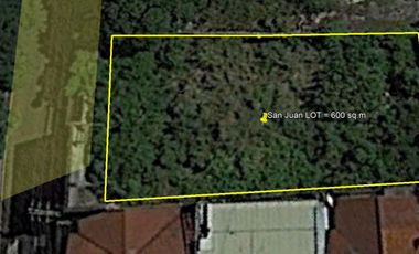 Lot for rent in P. Burgos Street, Addition Hills, 2nd District, San Juan, Eastern Manila District