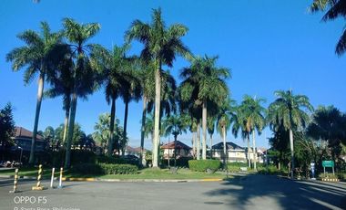 Santa Rosa Estates Big Lot and Spacious Garden Fully Furnished House for RENT