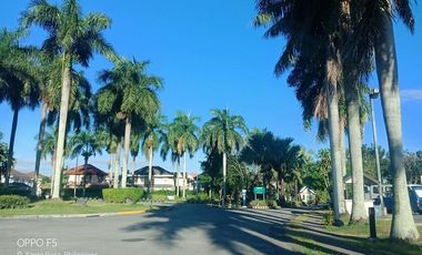 Santa Rosa Estates Big Lot and Spacious Garden Fully Furnished House for RENT