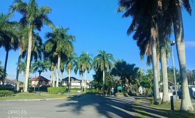 Santa Rosa Estates Big Lot and Spacious Garden Fully Furnished House for RENT