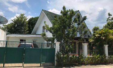 Santa Rosa Estates Big Lot and Spacious Garden Fully Furnished House for RENT