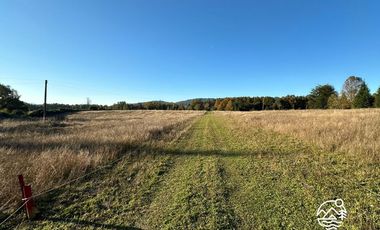 Parcelas en Venta en Altos de Liucura, Paillaco, Región de Los Ríos.
