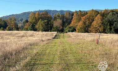 Parcelas en Venta en Altos de Liucura, Paillaco, Región de Los Ríos.