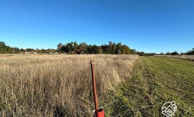 Parcelas en Venta en Altos de Liucura, Paillaco, Región de Los Ríos.