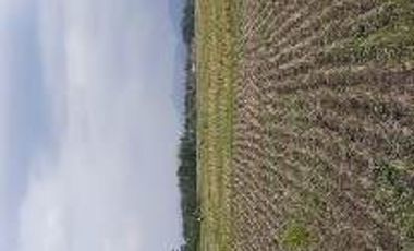 6345 M2 Tanah Komersil di Jalan Terusan Jakarta,  Kota Bandung.