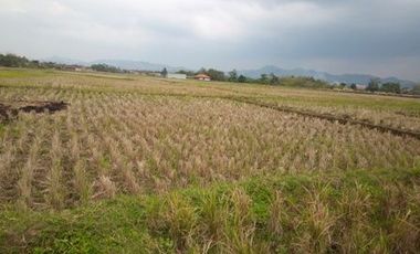 6345 M2 Tanah Komersil di Jalan Terusan Jakarta,  Kota Bandung.