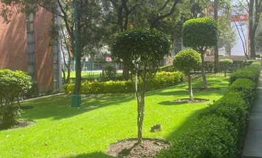 Hermoso departamento en Venta,  excelente ubicación, Insurgentes Sur