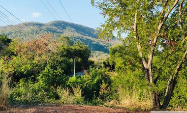 Land for sale, Mueang Phetchabun District. 2 lane road mountain view Size 27-3-62.1 rai, title deed land Width 149 m. The back of the land is next to the canal. For sale 500,000 baht/rai.