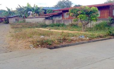 Residential Lot for Sale in Malaybalay
