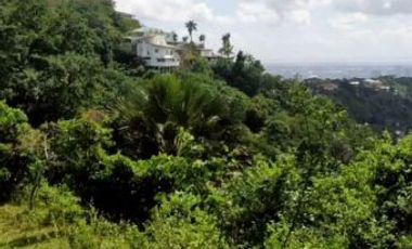 FOR SALE | Overlooking Busay Property at Busay, Cebu - 3 Hectares