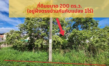 Land for sale in Soi Ban Kluai-Sai Noi, Phimonrat , Bang Bua Thong ,Nonthaburi 2 plots, size 200 sq.wa, wide front, good location, near the market and community. Suitable for warehouses, factories or car repair garages.