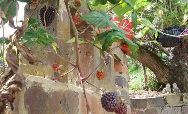 FINCA DE DESCANSO EN VENTA EN TENJO