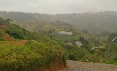 For Sale 1000 square meters Farm Lot Residential in Busay, Sudlon 2, Cebu City
