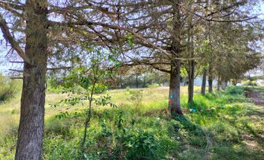 BAJA DE PRECIO!!! TERRENO SOBRE LA CARRETERA EN ATOTONILCO EL GRANDE